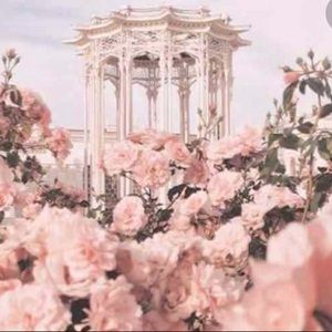 Meet your Posher, Renee